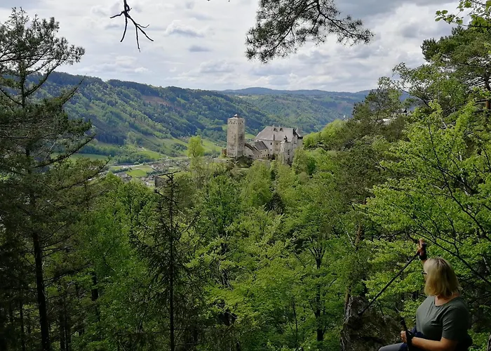 Gasthof-pension Luger Wesenufer