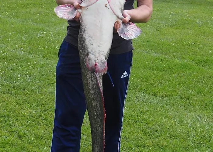 Otel Gasthof-pension Luger Wesenufer