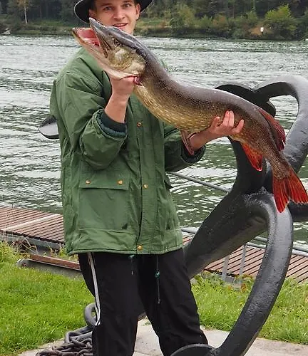 Otel Gasthof-pension Luger