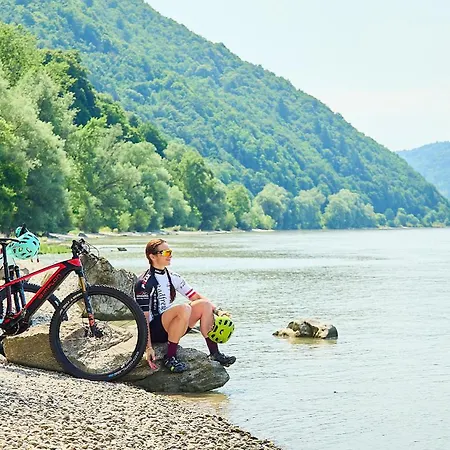 Gasthof-pension Luger Hotel