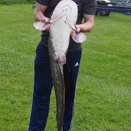 Hotel Gasthof-pension Luger Wesenufer