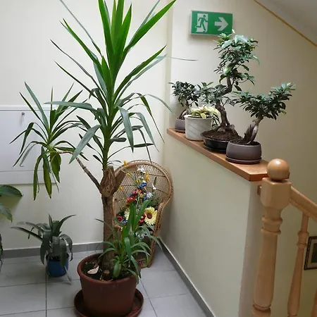 Hotel Gasthof-pension Luger 4*