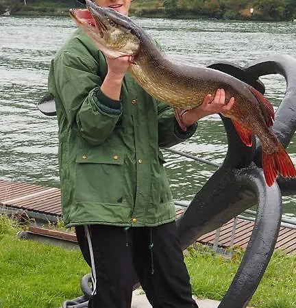 Hotel Gasthof-pension Luger