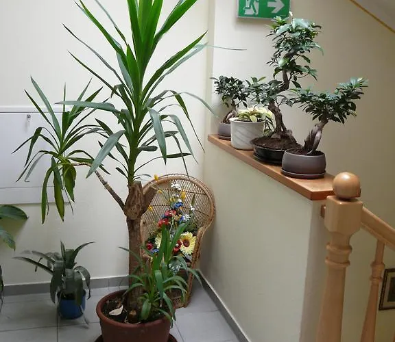 Hotel Gasthof-pension Luger 4*